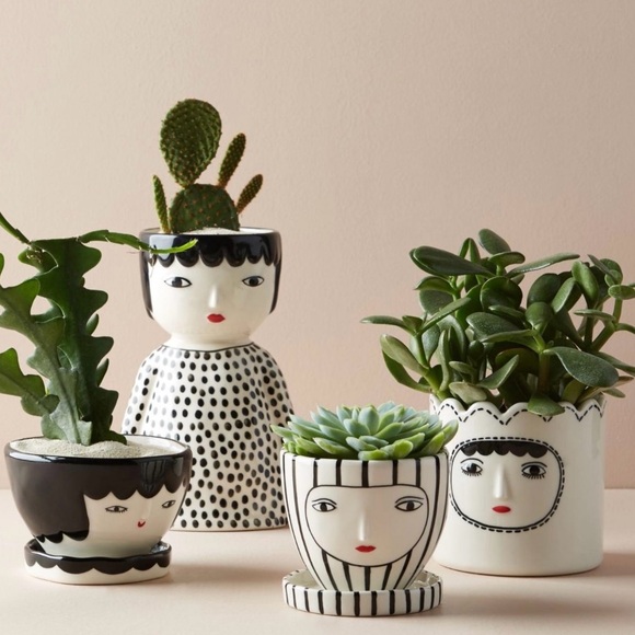 NWT | Kinska Melena Face Planter - Picture 2 of 6